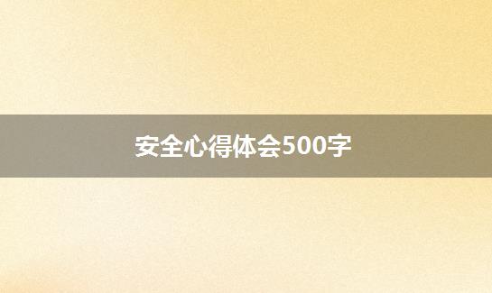 安全心得体会500字