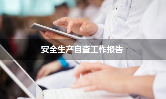 安全生产自查工作报告