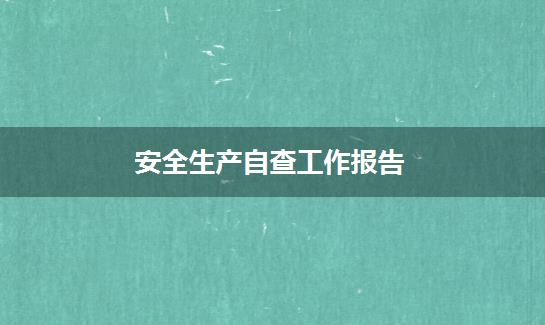 安全生产自查工作报告