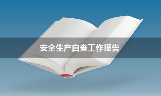 安全生产自查工作报告