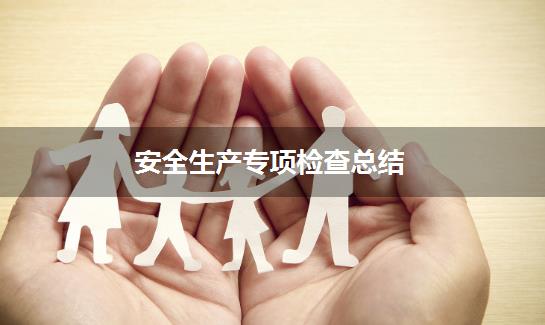 安全生产专项检查总结