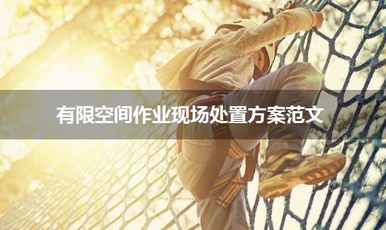 有限空间作业现场处置方案范文