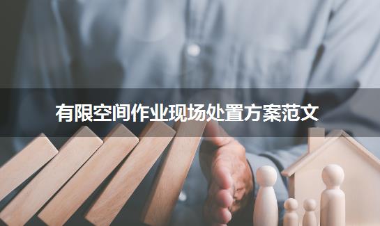 有限空间作业现场处置方案范文