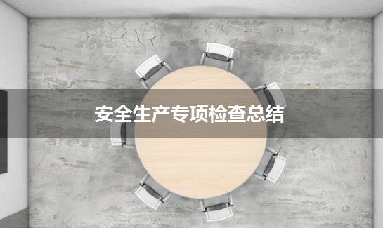 安全生产专项检查总结