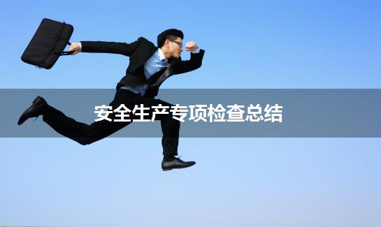 安全生产专项检查总结
