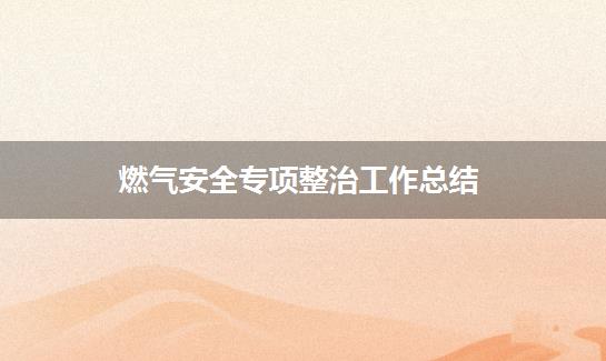 燃气安全专项整治工作总结