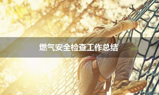 燃气安全检查工作总结