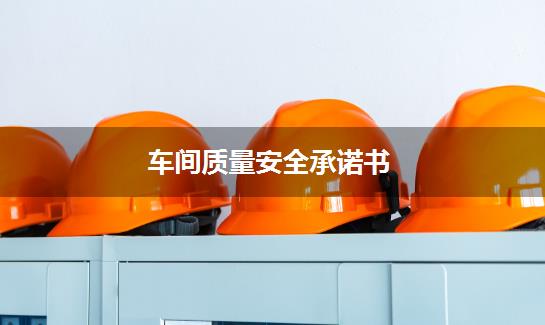 车间质量安全承诺书