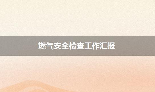 燃气安全检查工作汇报