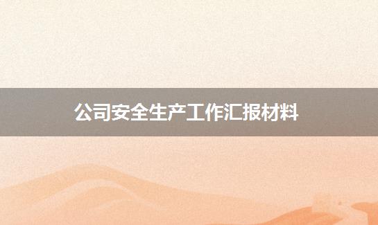 公司安全生产工作汇报材料