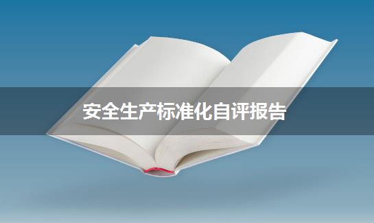 安全生产标准化自评报告