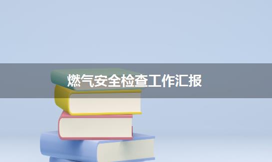 燃气安全检查工作汇报
