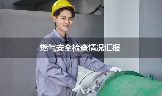 燃气安全检查情况汇报