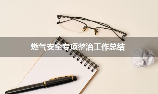 燃气安全专项整治工作总结