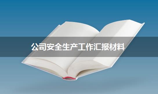 公司安全生产工作汇报材料