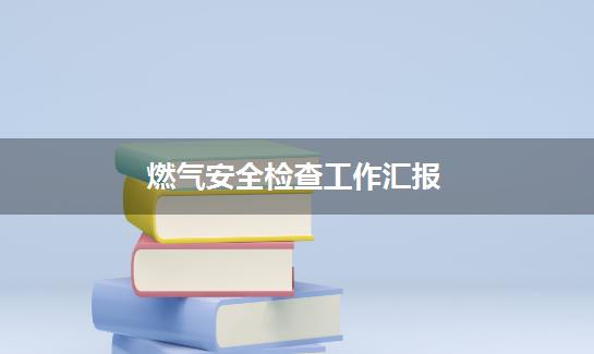 燃气安全检查工作汇报