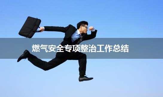 燃气安全专项整治工作总结