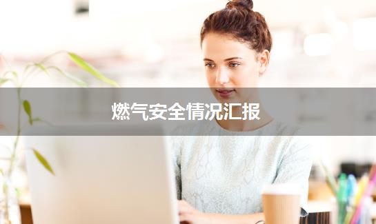 燃气安全情况汇报