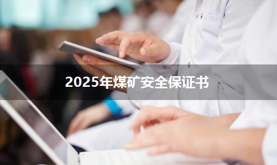 2025年煤矿安全保证书