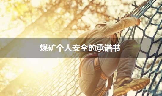 煤矿个人安全的承诺书