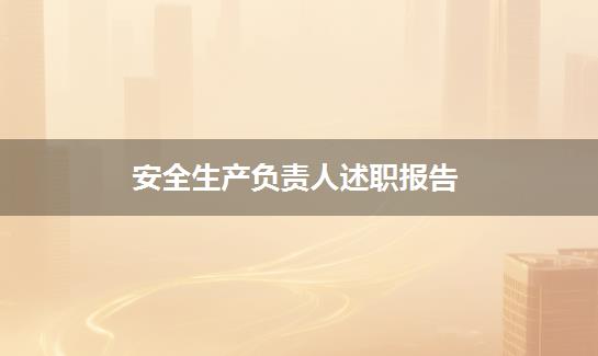 安全生产负责人述职报告