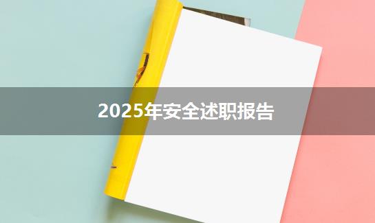 2025年安全述职报告