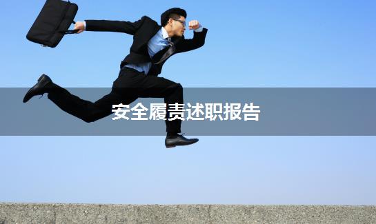 安全履责述职报告