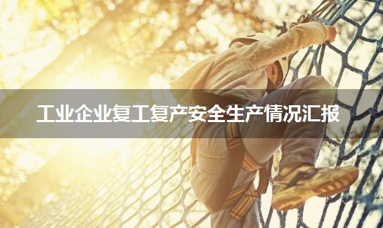 工业企业复工复产安全生产情况汇报